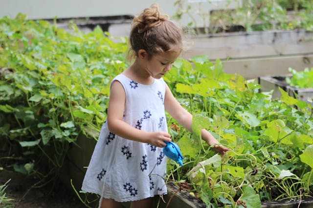kids do offline gardening