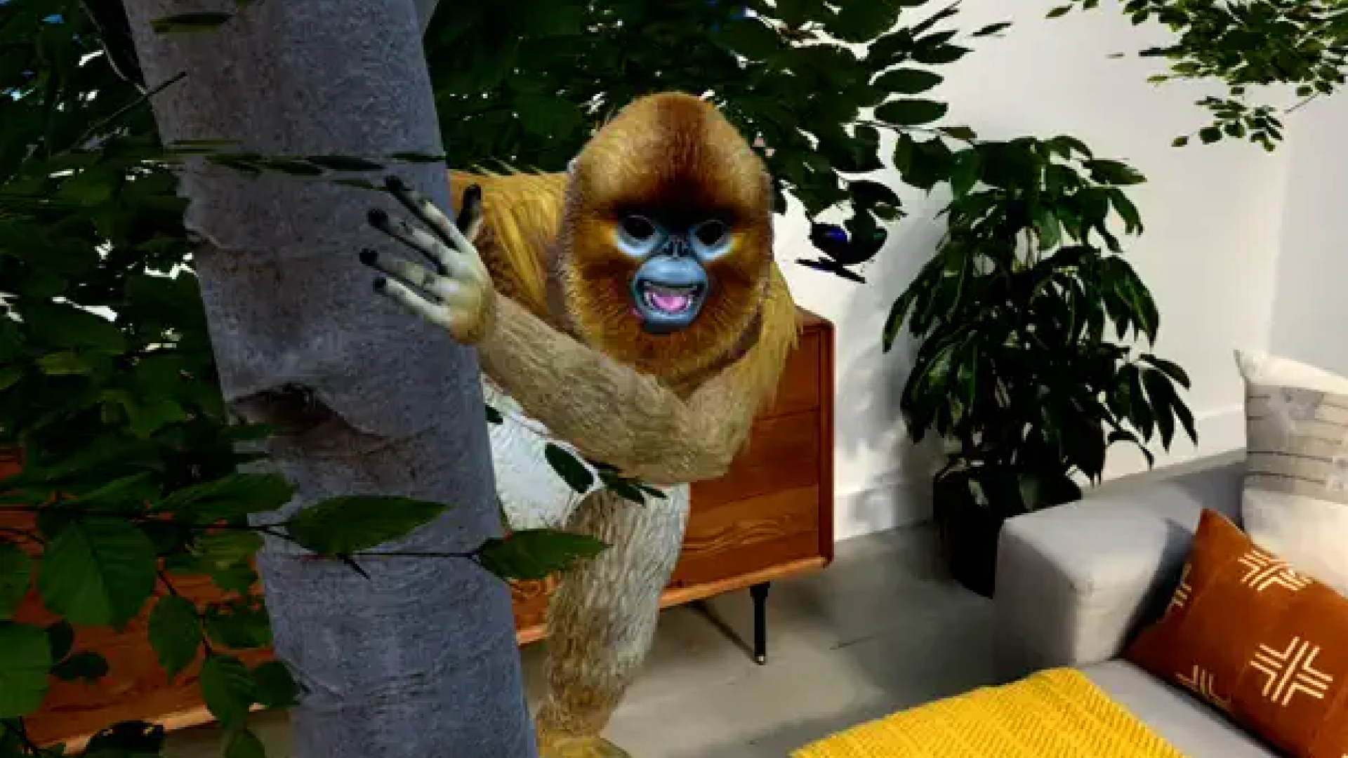 WWF Forests AR app