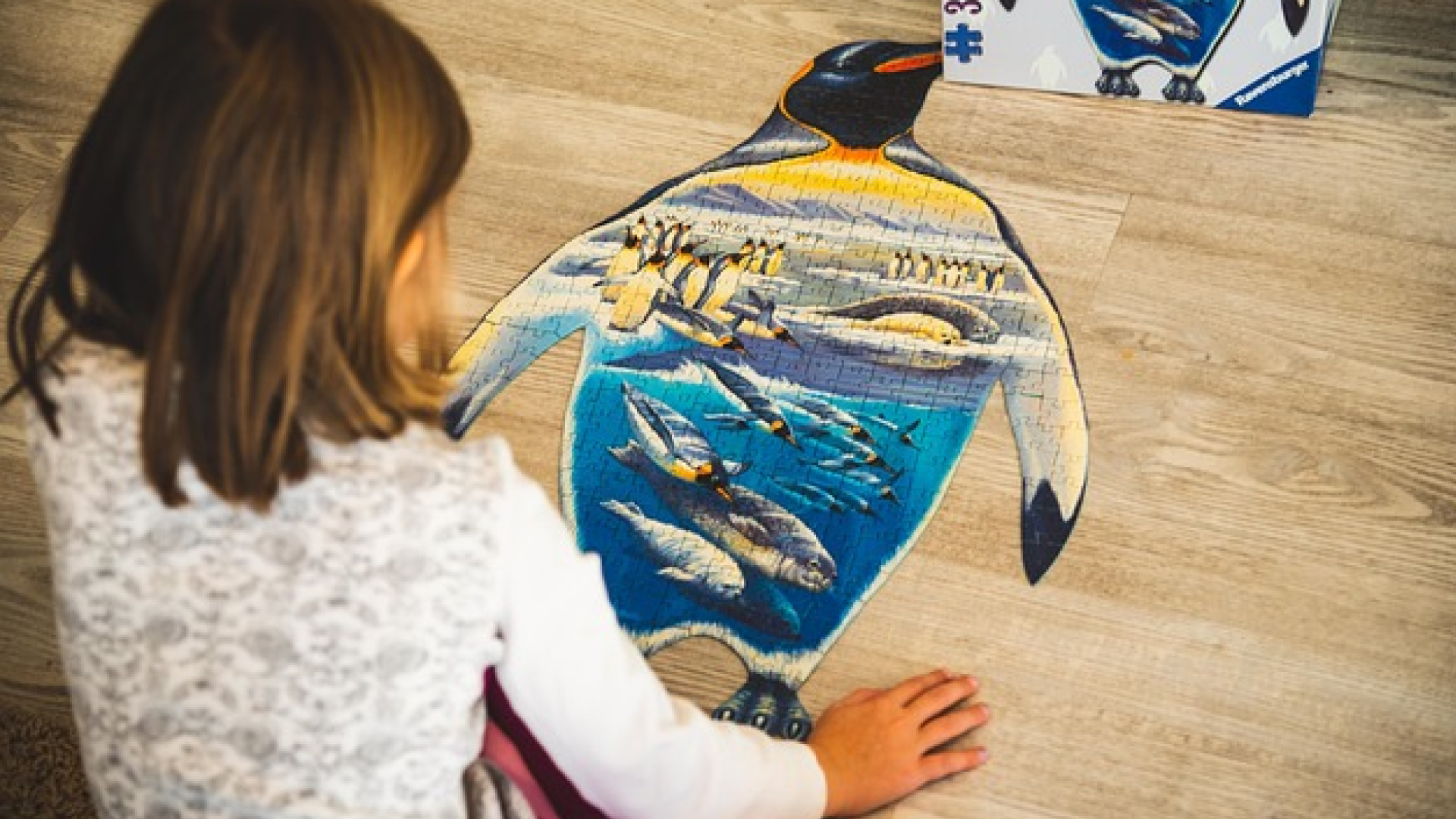 Smart Puzzles and Games