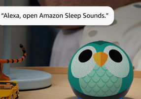 Echo Dot Kids vs Echo Dot: What Actually Changes